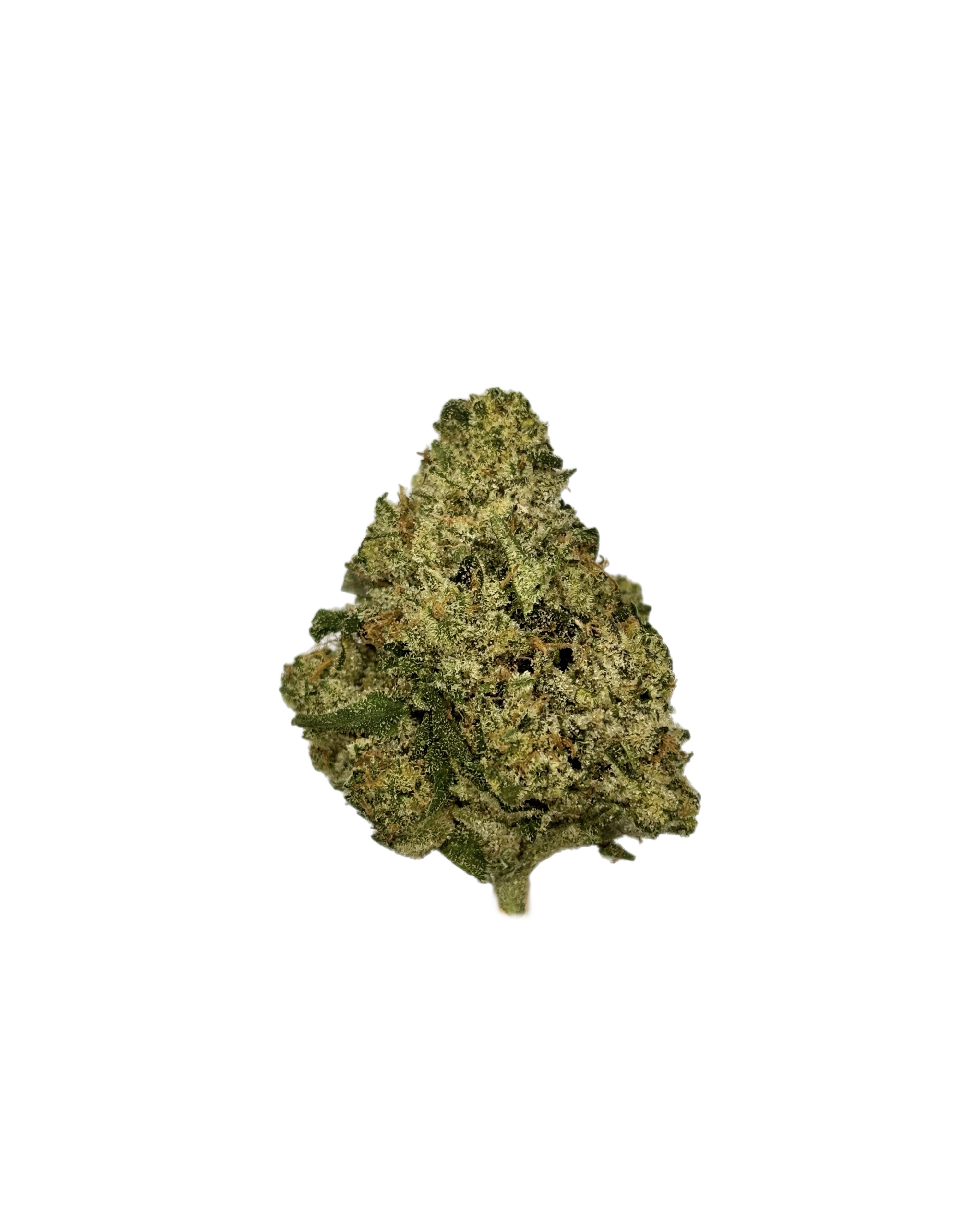 Carbon | Pebble Wreck | Bulk Flower | White Tier