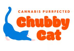 Chubby Cat | Curacao