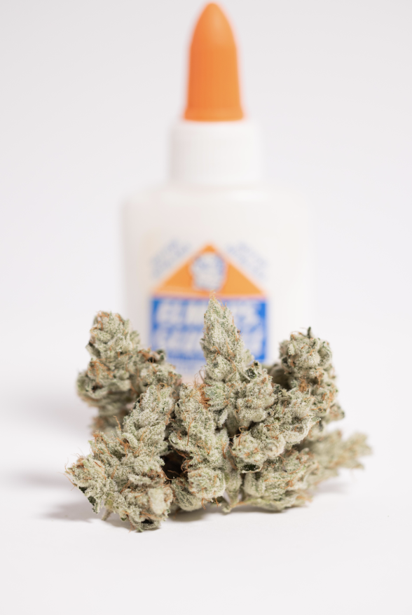 Tao Gardens | True Glue