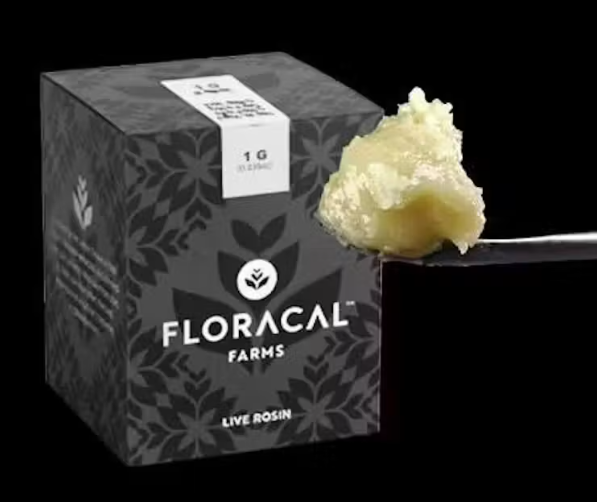 FloraCal 1g Live Rosin Badder (Sativa) -  Papaya Eclipse