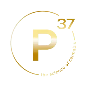P37 logo