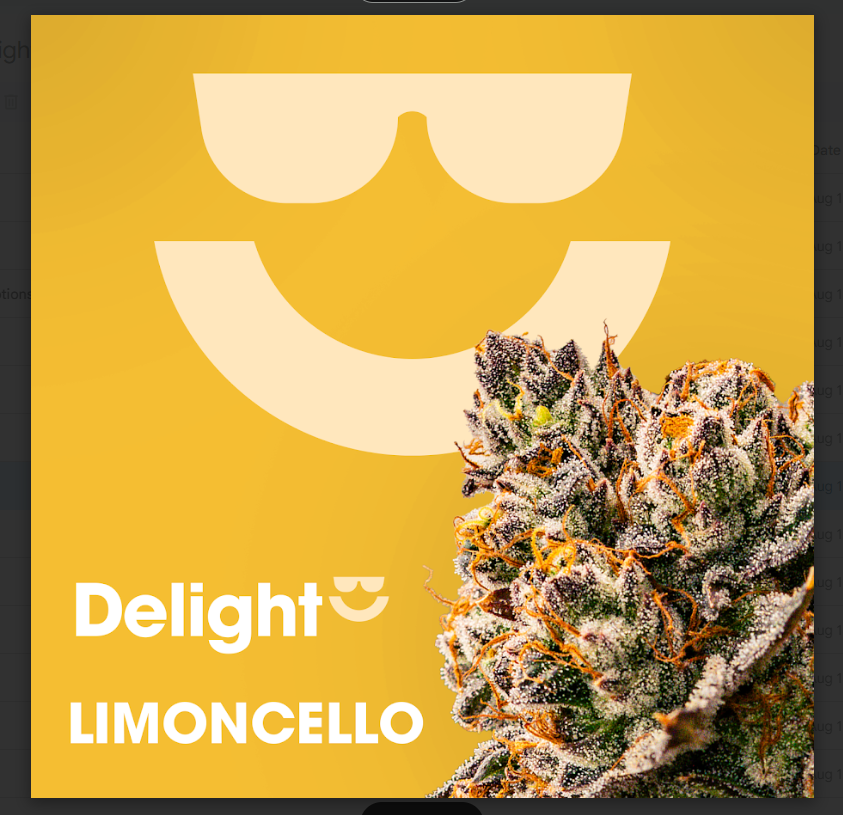 Delight - Limoncello - Flower