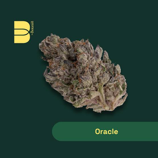 IGF Botanist Flower 28g - Oracle (Hybrid)