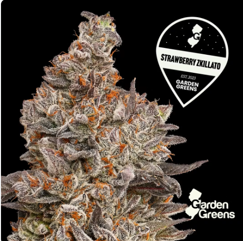 Garden Greens - Strawberry Zkillato Flower