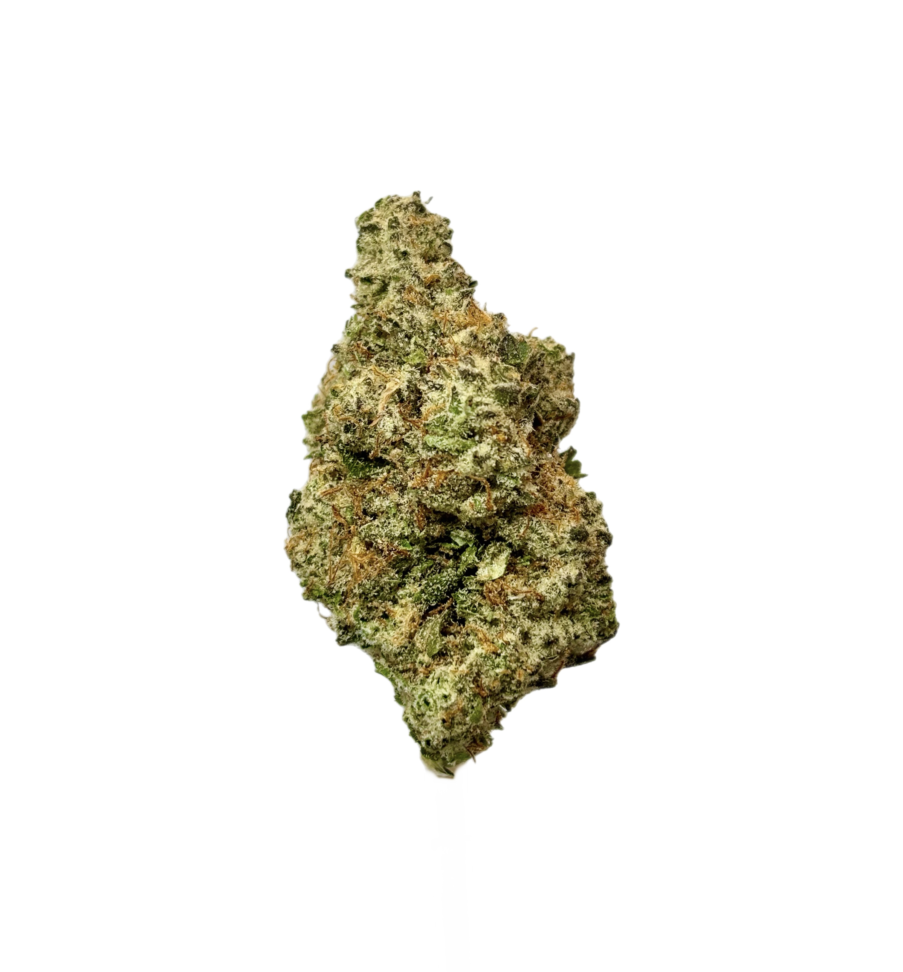 Cherry Cheesecake Bulk Flower Purple