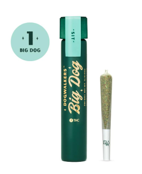 (28804) Mystic Mint PreRoll
