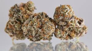 Koru Cannabis: Candy Cement - Fg