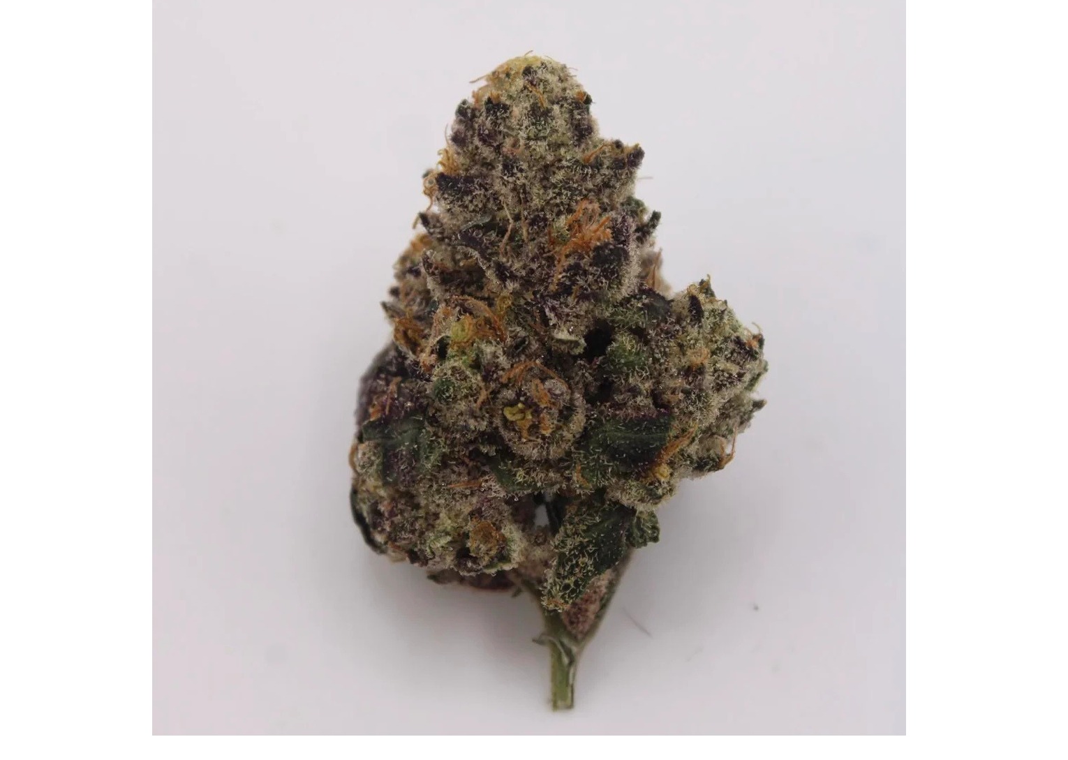 Tasty Cakez | 28g