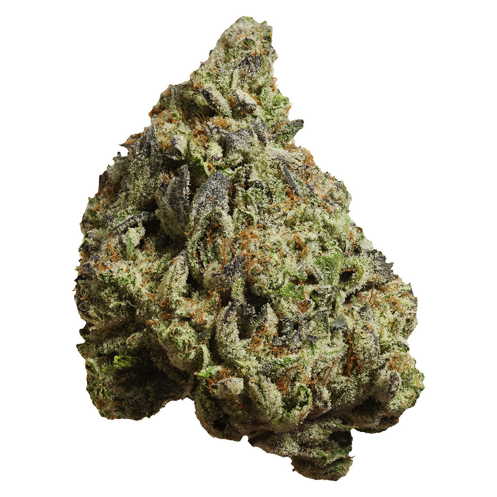 FOUR54 - Dubble Motorboat - Indica