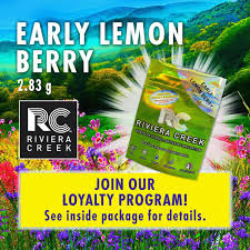 Early Lemon Berry | H