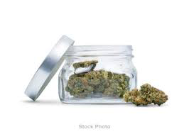 Banana Puddintain Sunmed Pre Packed