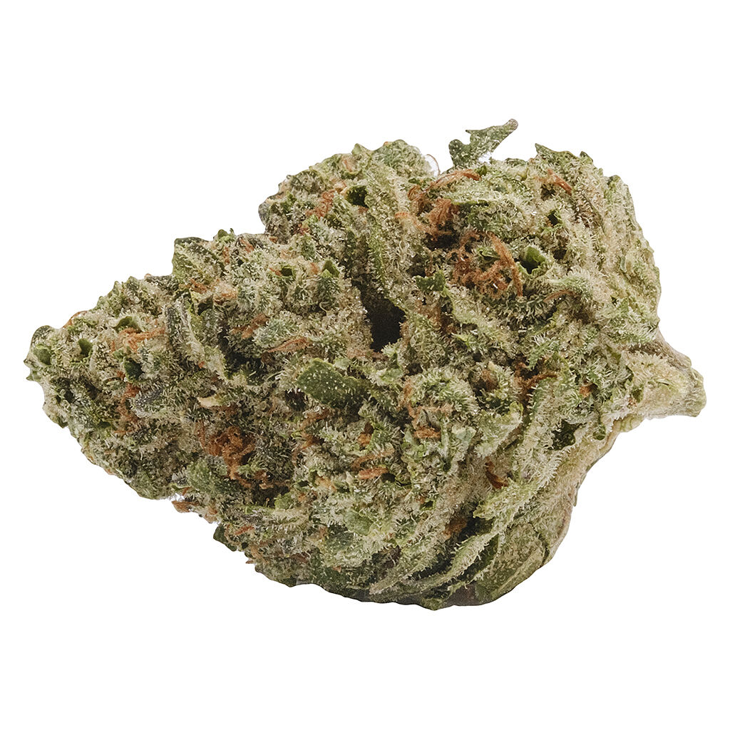 Back Forty - Liquid Imagination - 14g