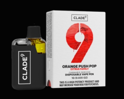Orange Push Pop | 1g Disposable