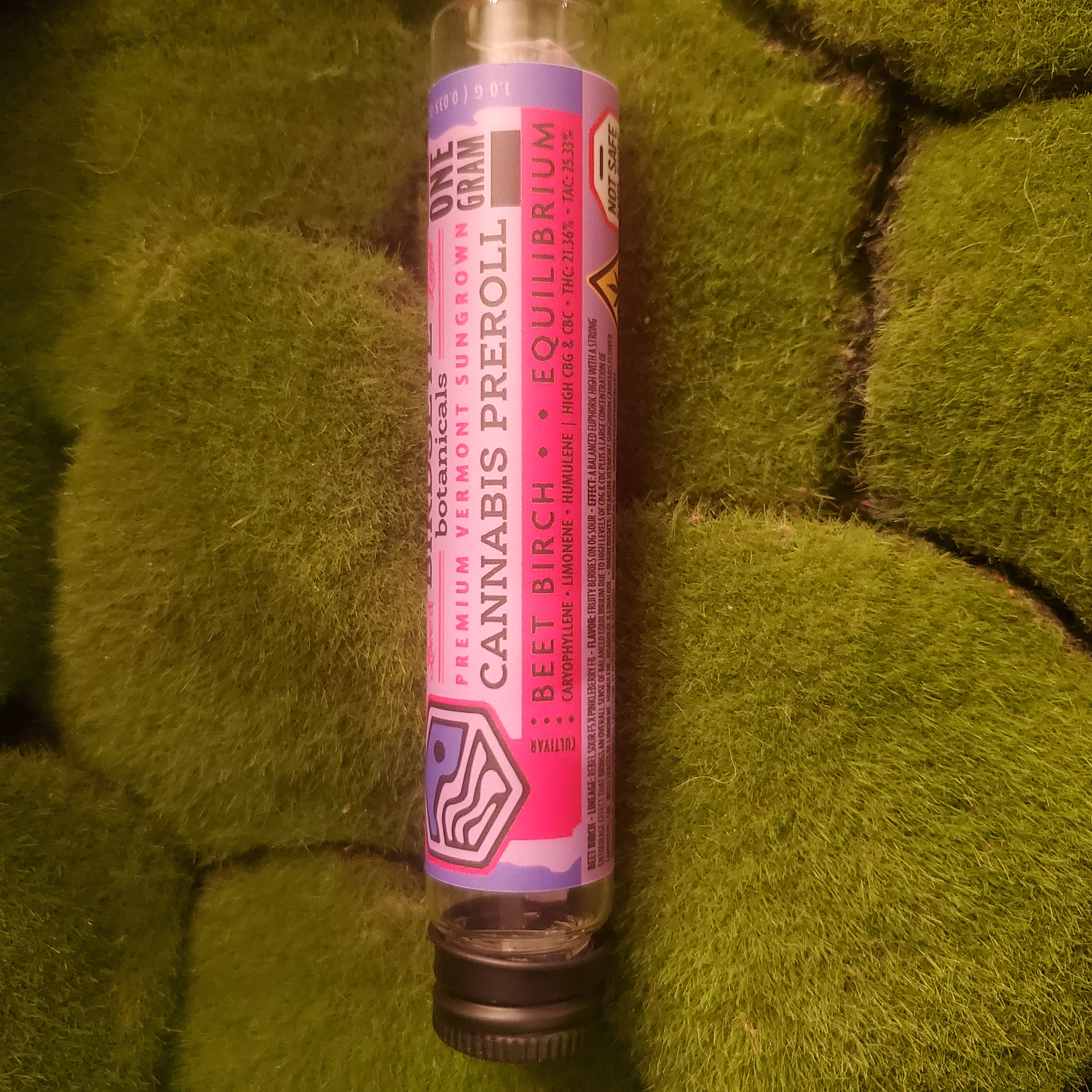 Pre Roll Single | Beet Birch