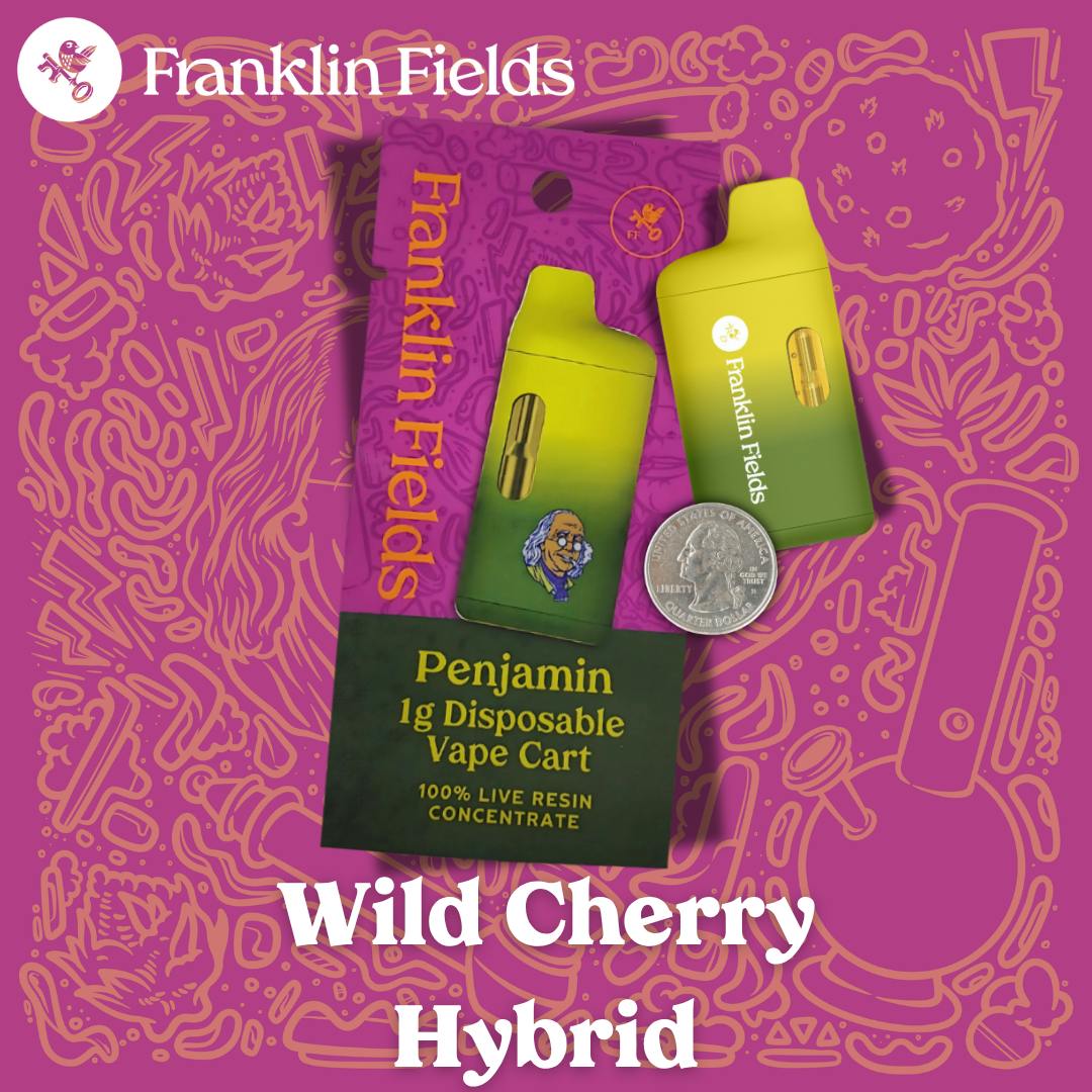 Wild Cherry Resin Disposable