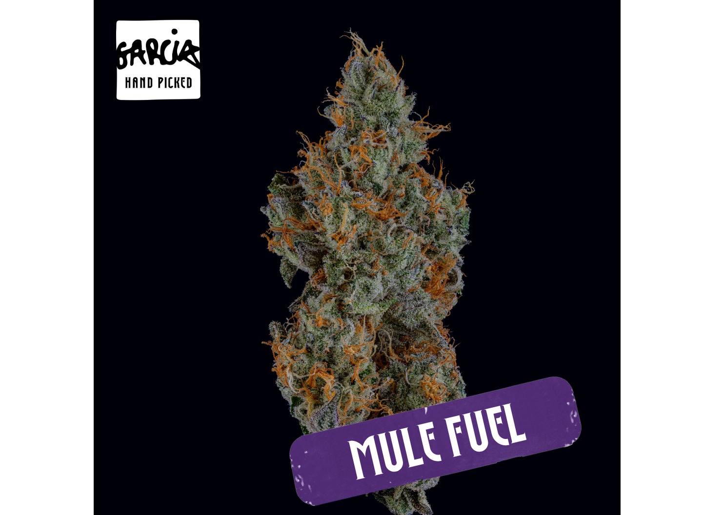Mule Fuel | 3.5g product photo