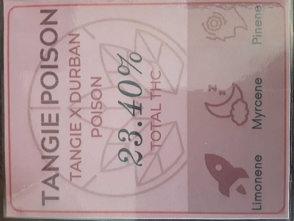 2025 Flower: Tangie Poison