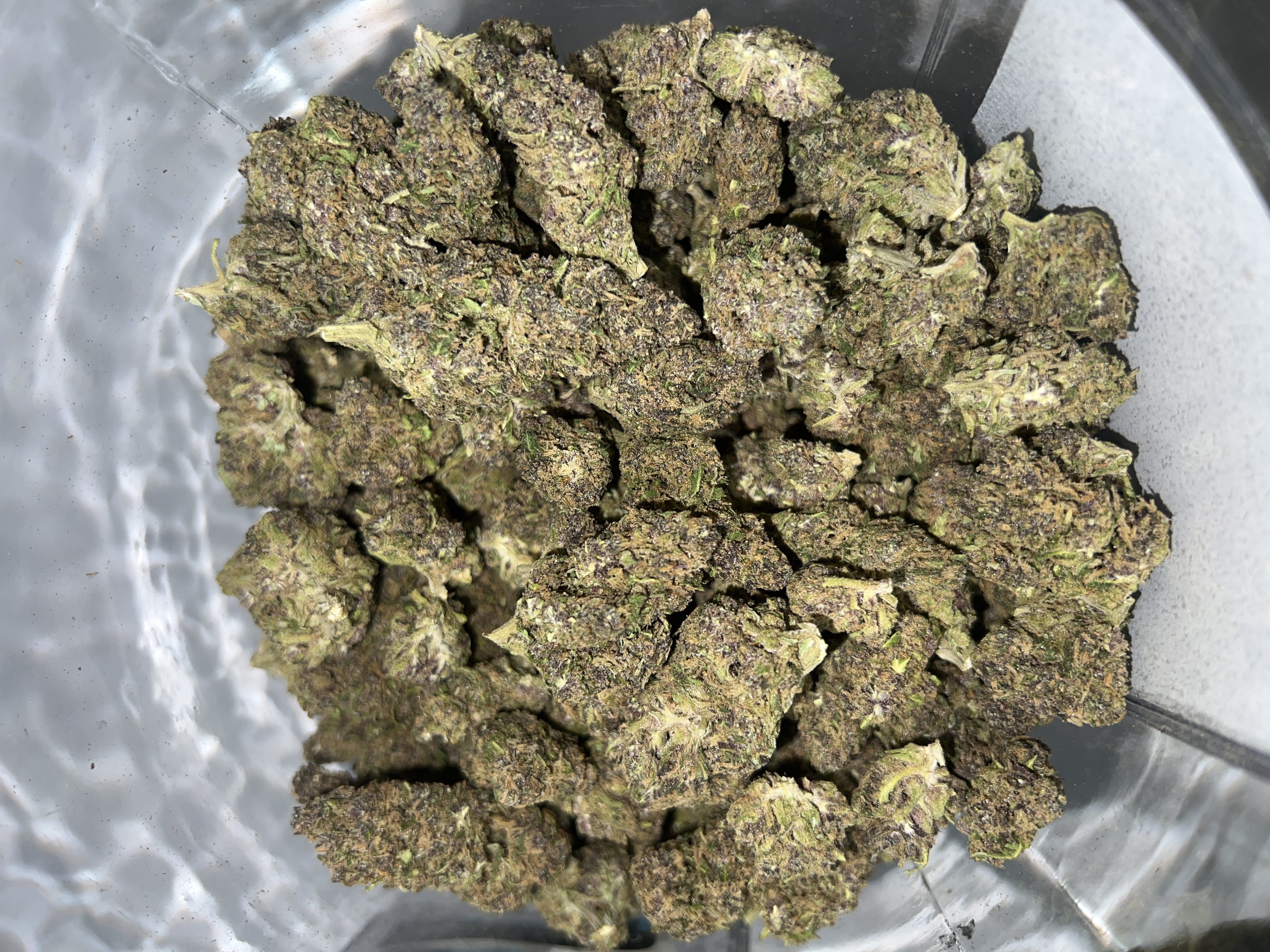 Som Purple Gmo Tier