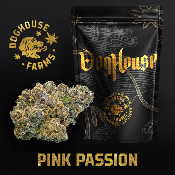 DogHouse | Pink Passion | Bulk Flower | Platinum Tier