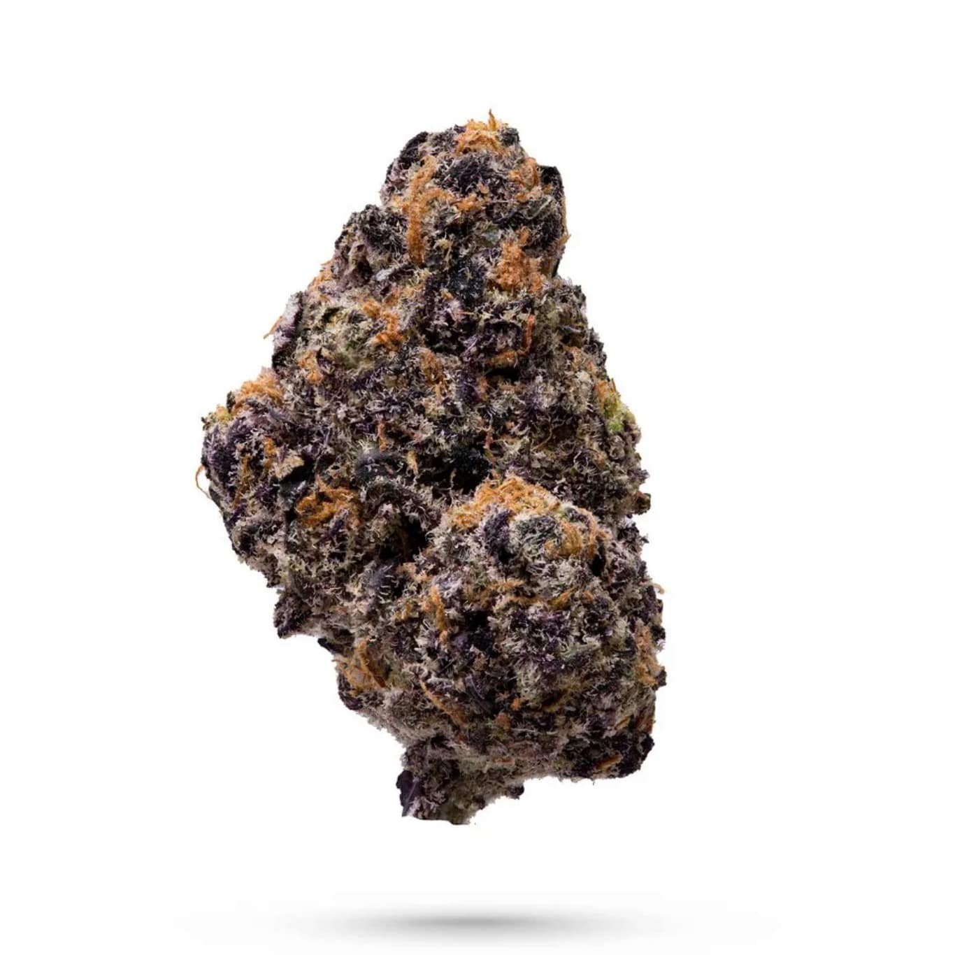 Gumbo (H) 7G