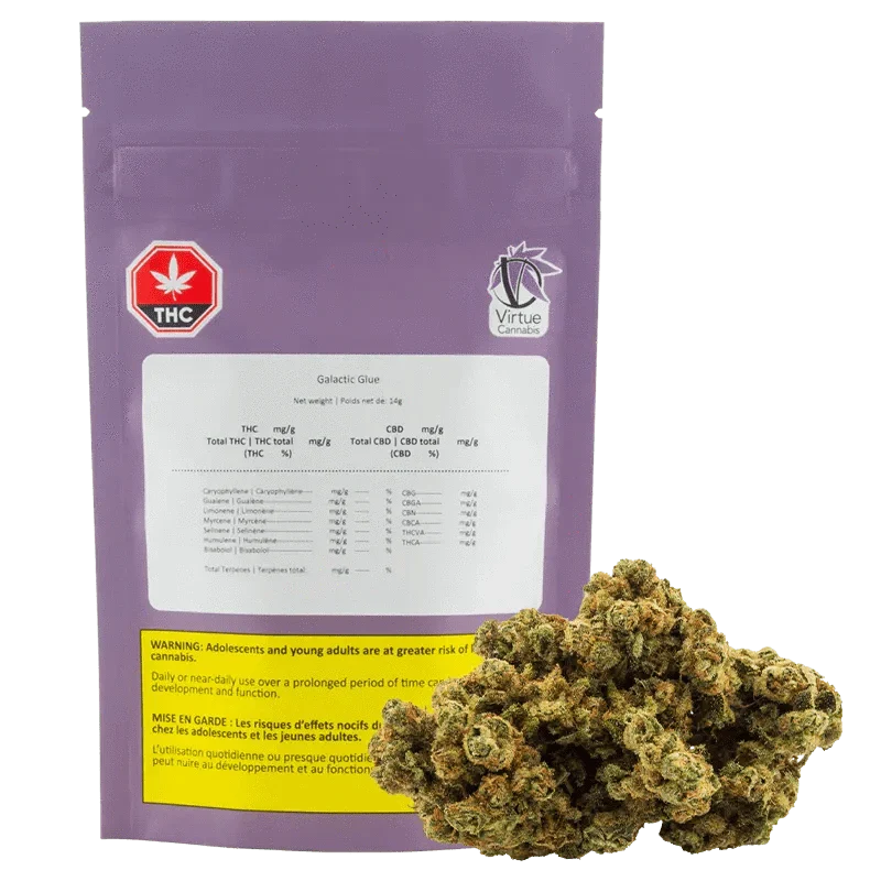 Galactic Glue Dried Flower