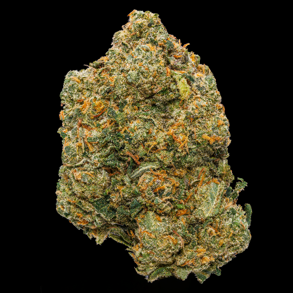 Cultured Sour Diesel Sun Grown