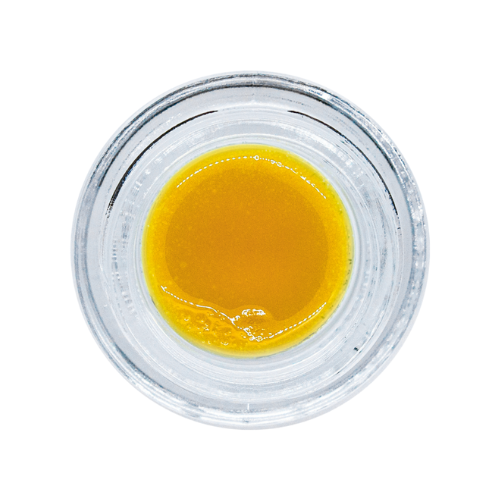 First Class: Blue Dream OG