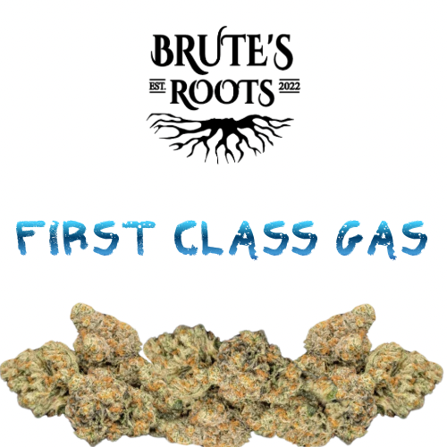 Flower - First Class Gas - Brute's Roots - REC