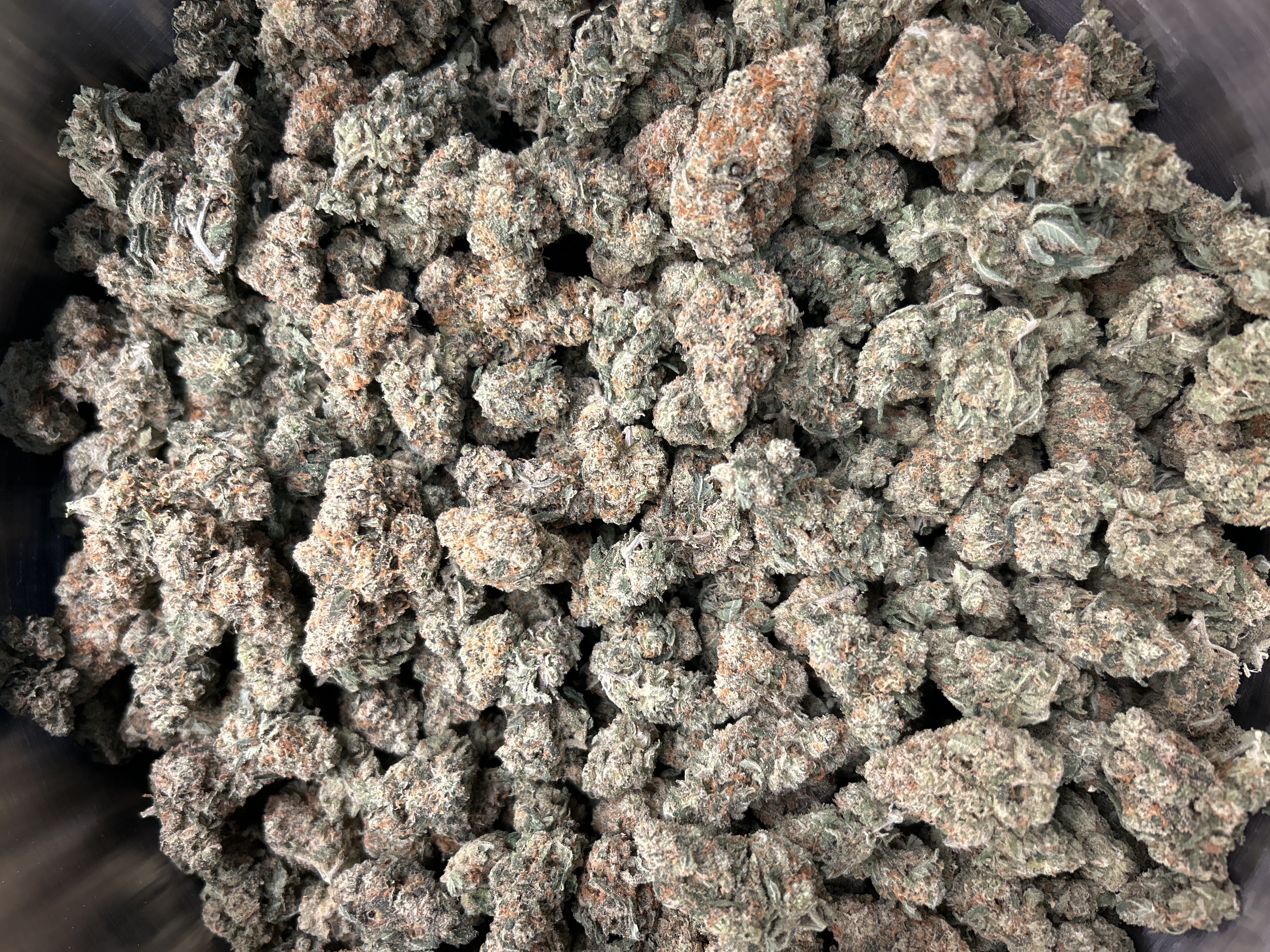 Originals | Jack Herer | Buds | 3.3% Terps (2g) product photo