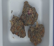 7g | Orange Runtz