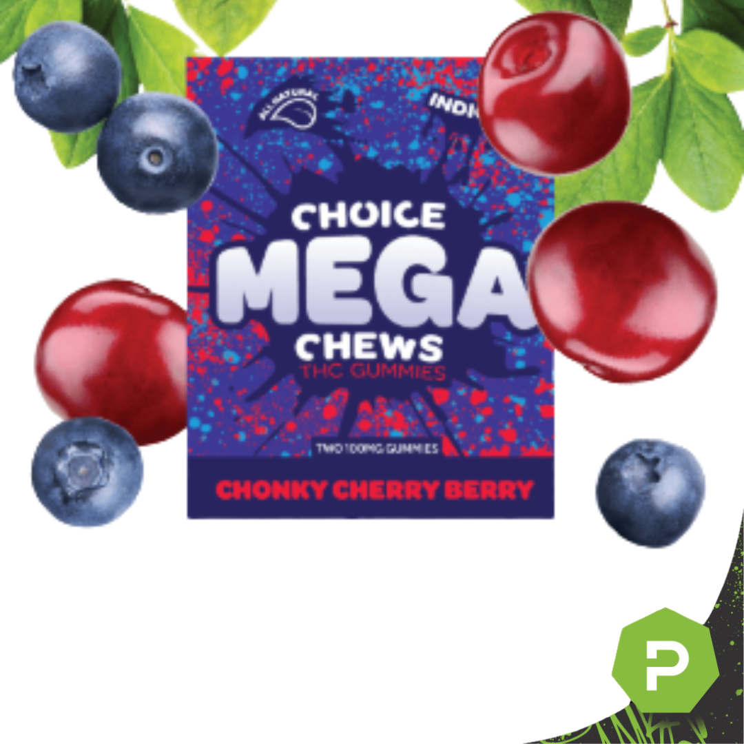 Choice Mega-Chews | 200mg Gummies 2pk | Chonky Cherry Berry