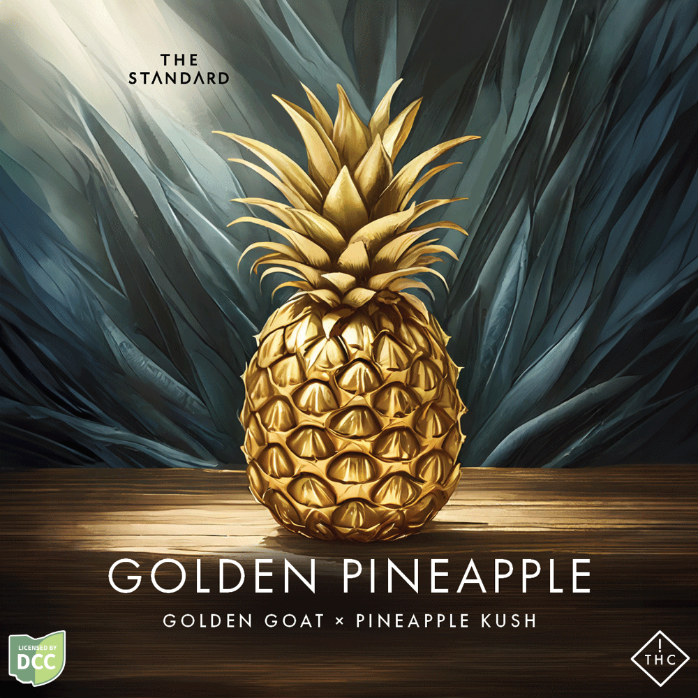 The Solid Golden Pineapple Dvp