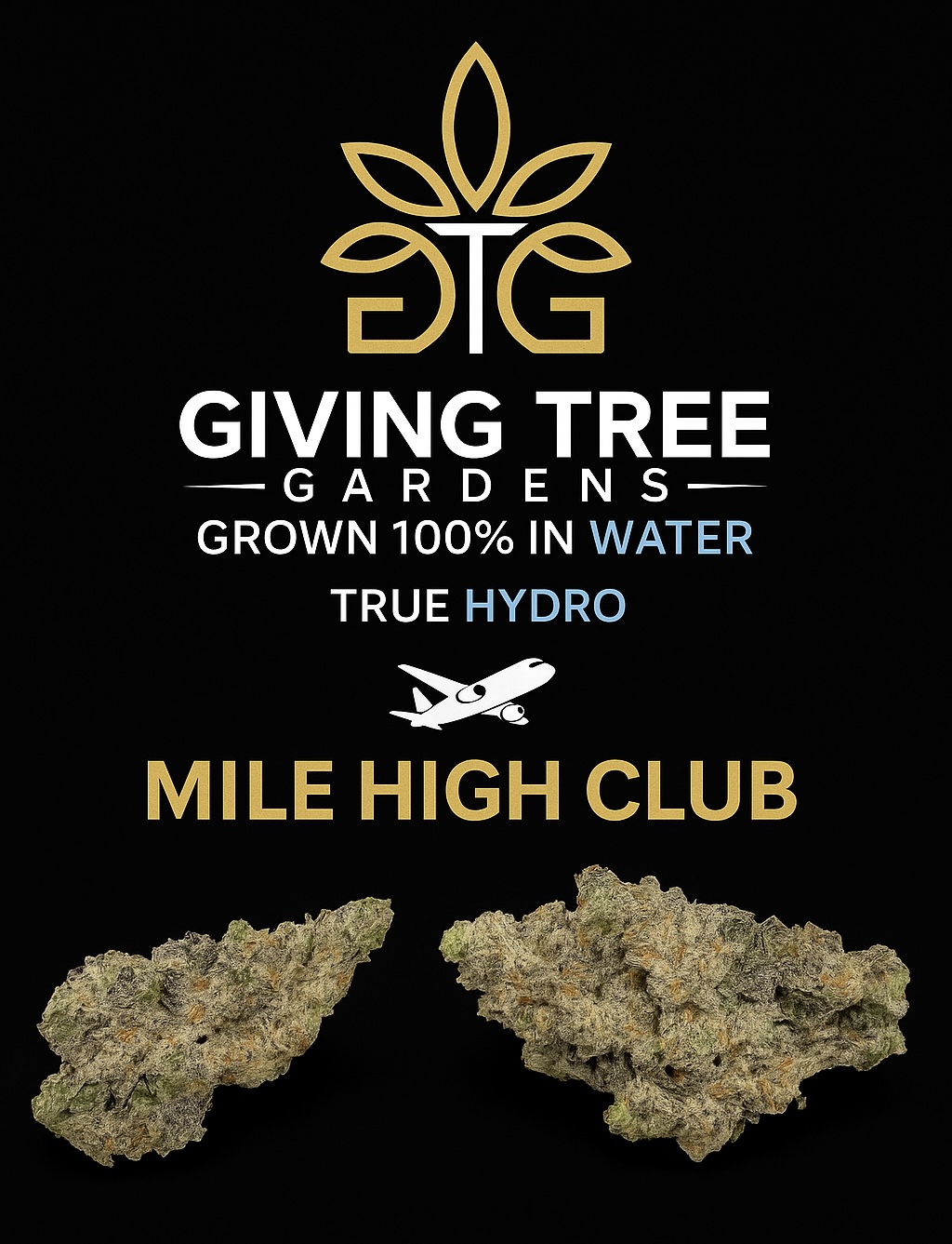 Mile High Club