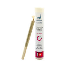 0.5g "Balance" Candy Blossom - Prerolls - East Fork Cultivars