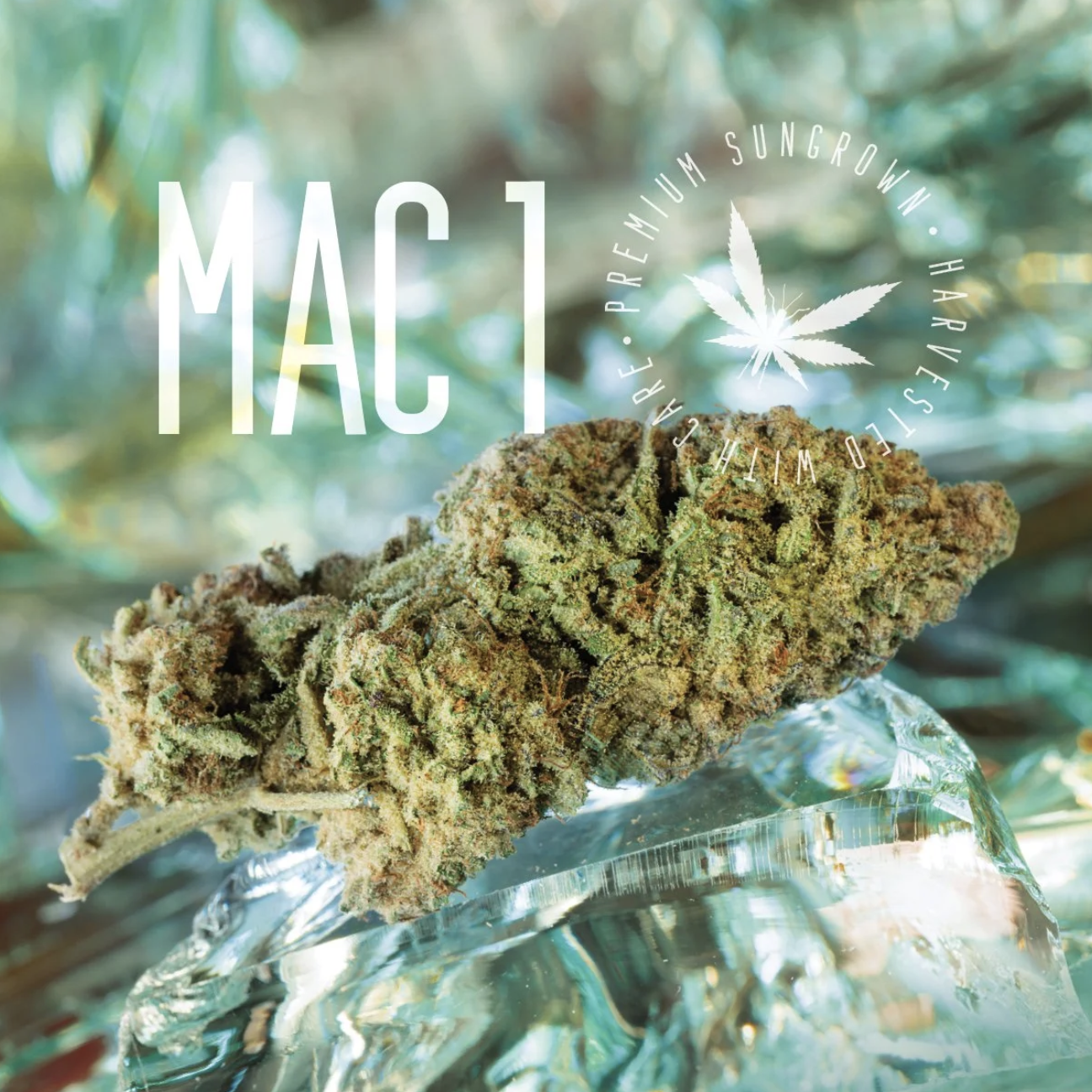MAC 1 | Outdoor | Bulk Flower