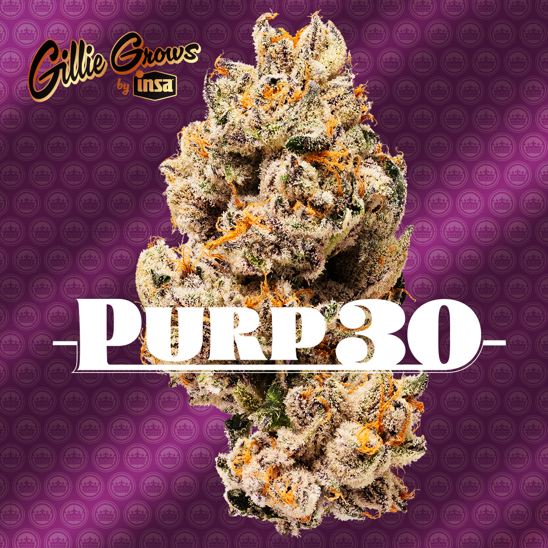 Purp #30