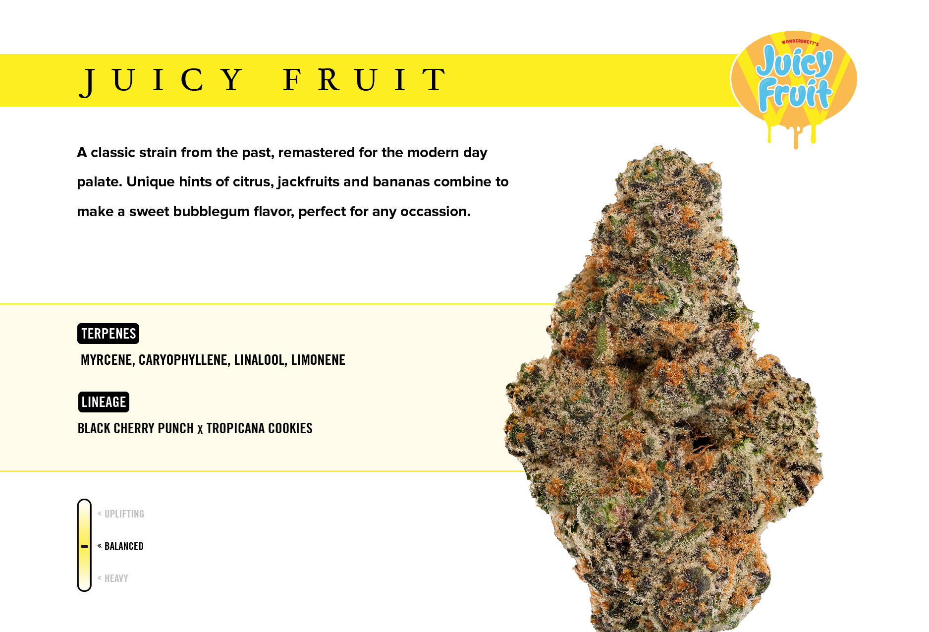 Tops | Juicy Fruit |