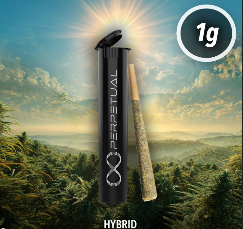 Scented Marker | 1G Preroll (TAX INCLUDED)