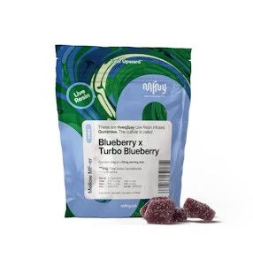 MFNY | LIVE RESIN GUMMIES | BLUEBERRY X TURBO BLUEBERRY | 10PK