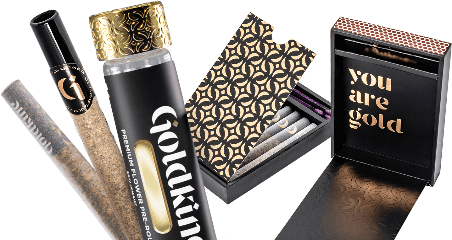 Preroll | Point Break