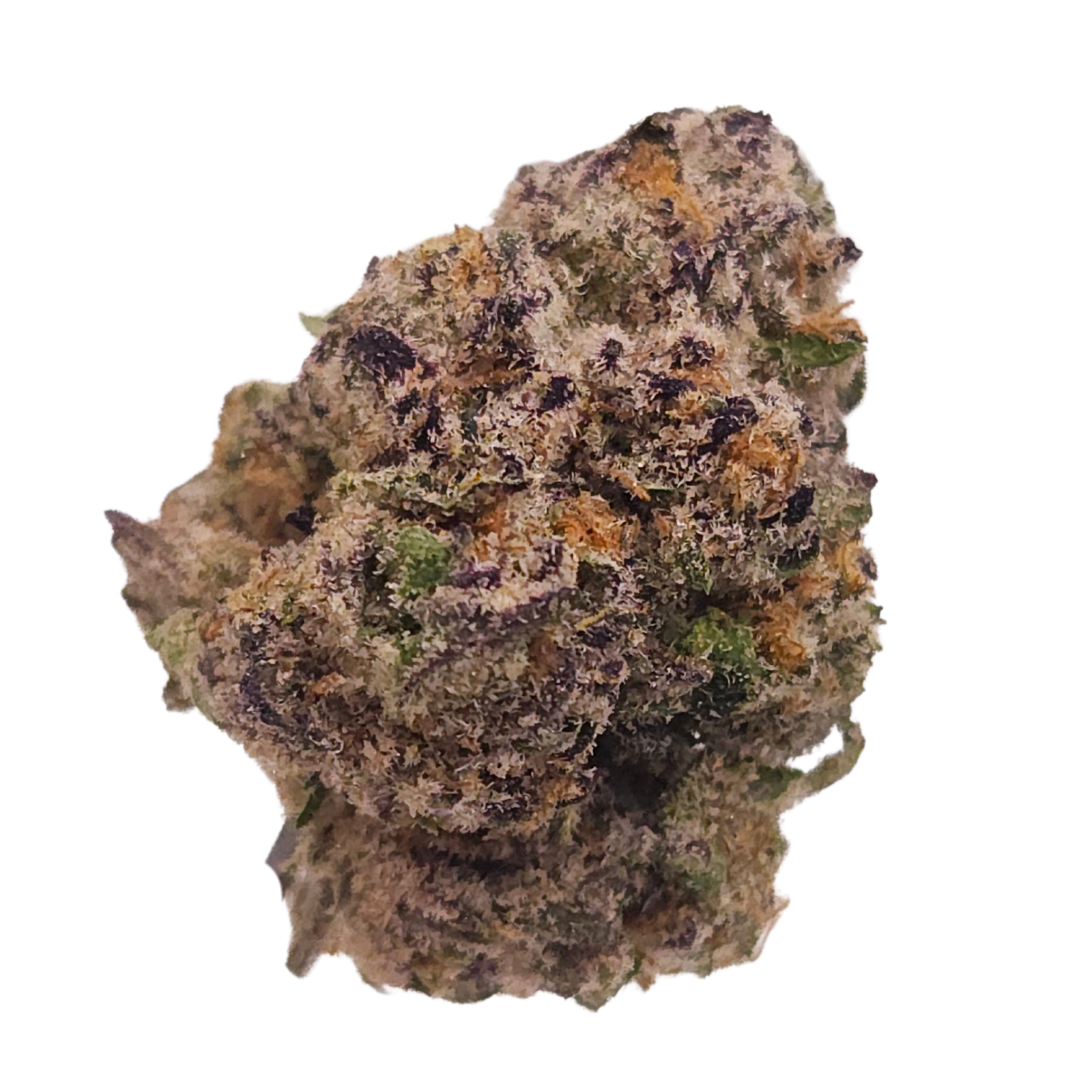 British Purps