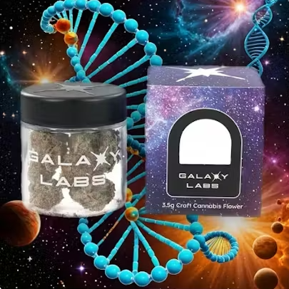 GAL  |  Flower | Subzero 12 I 3.5g