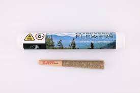 Adirondack Flower Grape Falls Diesel (IH) Preroll .7g