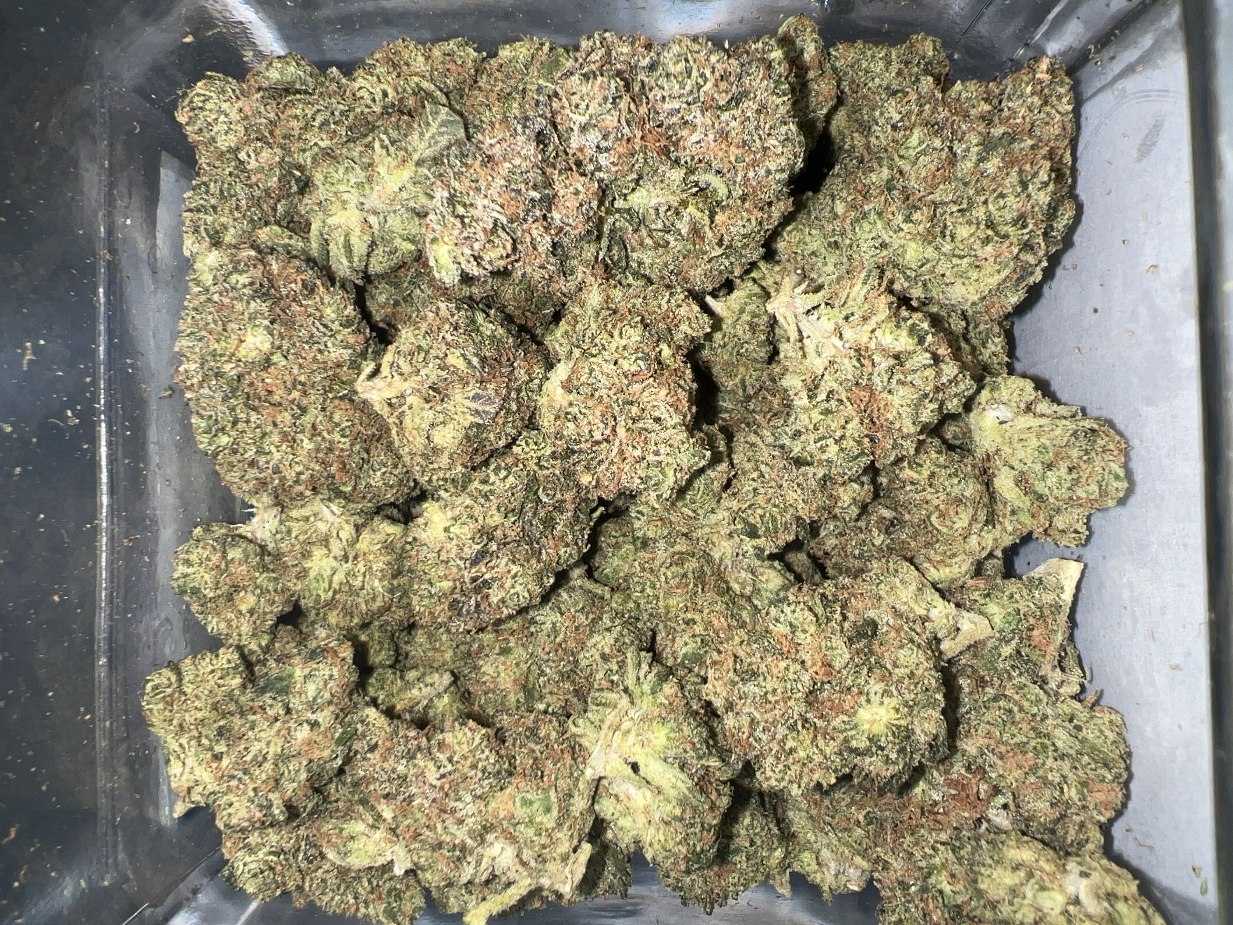 Mother Magnolia - Mendo Oranges - Top Shelf