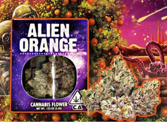 Alien Orange 8th