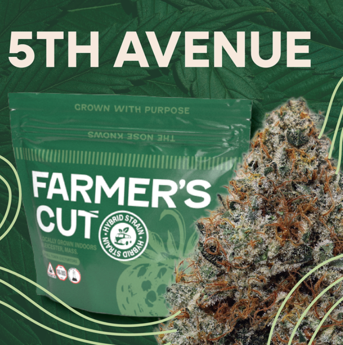 5th Avenue | 14g