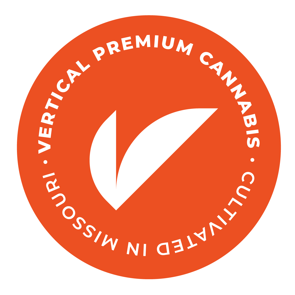 Vertical - Purple Punch Preroll