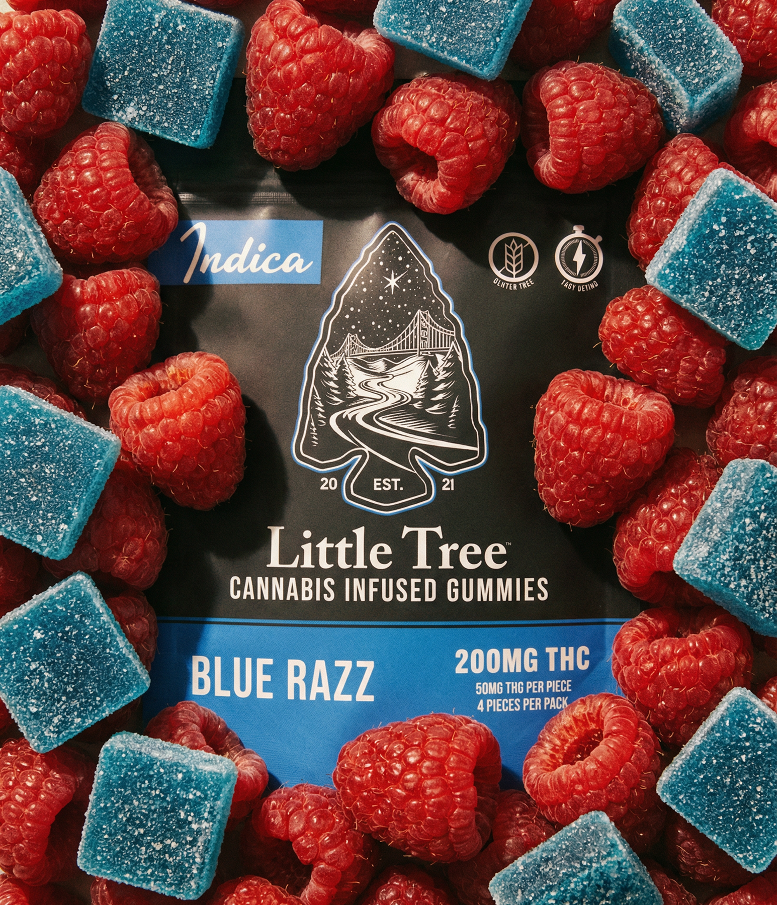 Blue Razz Gummies 4x50mg
