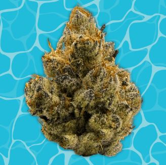 PRE-PACK FLOWER ZOAP (H) 3.5G