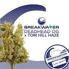 Deadhead OG x Tom Hill Haze